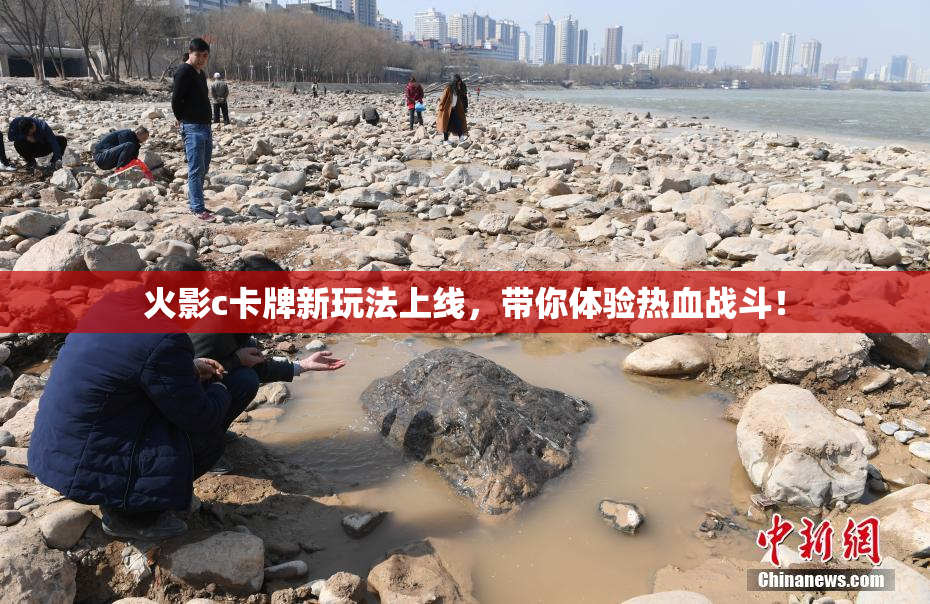 火影c卡牌新玩法上线，带你体验热血战斗！