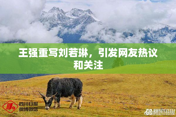 王强重写刘若琳，引发网友热议和关注