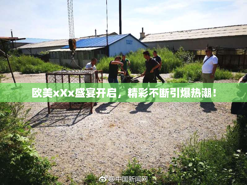 欧美xXx盛宴开启，精彩不断引爆热潮！