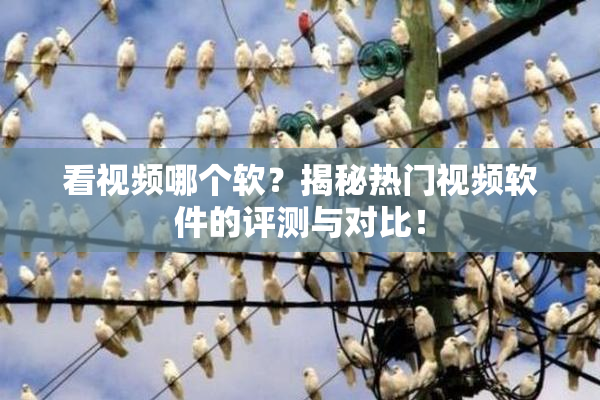看视频哪个软？揭秘热门视频软件的评测与对比！