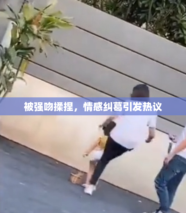 被强吻揉捏，情感纠葛引发热议