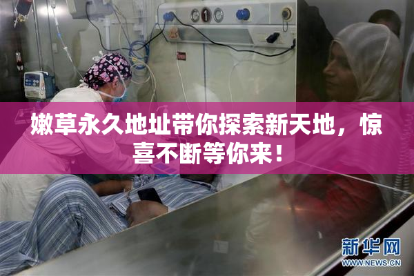 嫩草永久地址带你探索新天地，惊喜不断等你来！