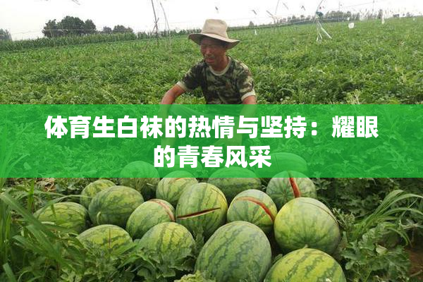 体育生白袜的热情与坚持：耀眼的青春风采
