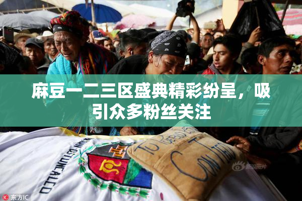 麻豆一二三区盛典精彩纷呈，吸引众多粉丝关注