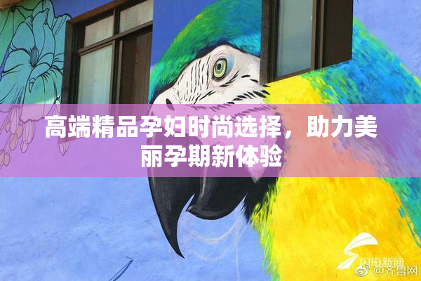 高端精品孕妇时尚选择，助力美丽孕期新体验