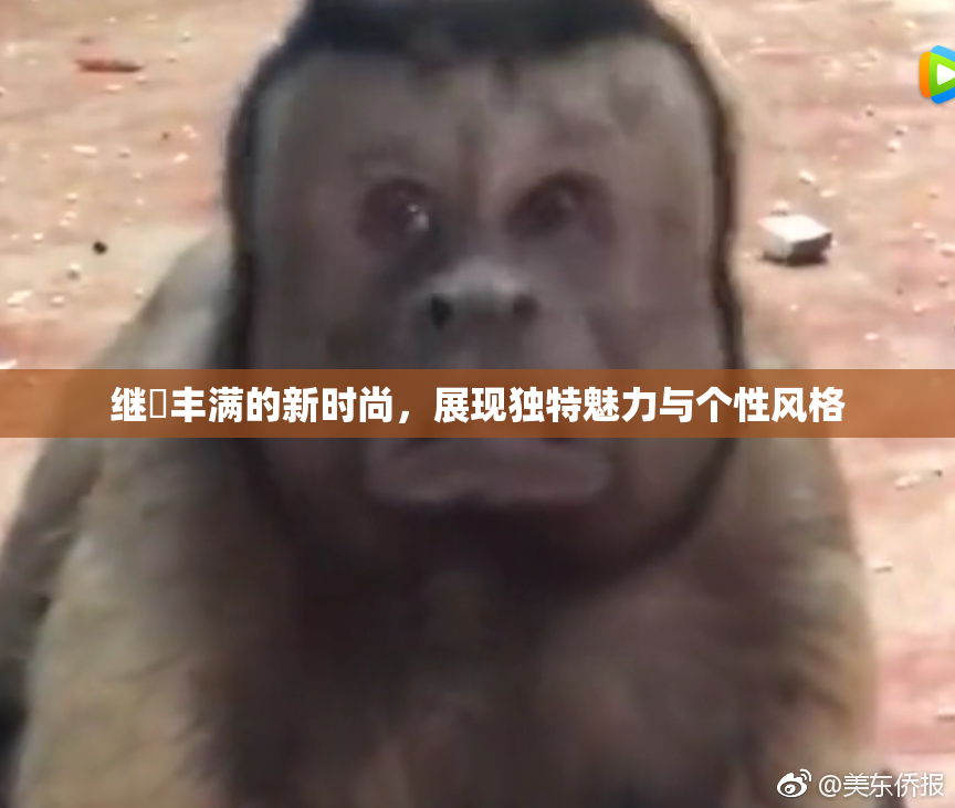 继牳丰满的新时尚，展现独特魅力与个性风格