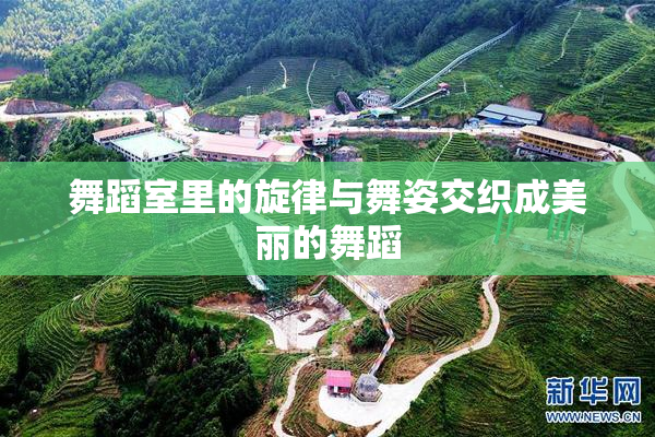 舞蹈室里的旋律与舞姿交织成美丽的舞蹈