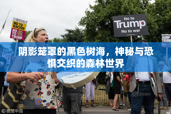 阴影笼罩的黑色树海，神秘与恐惧交织的森林世界