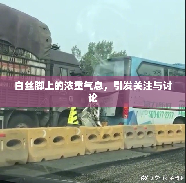 白丝脚上的浓重气息，引发关注与讨论