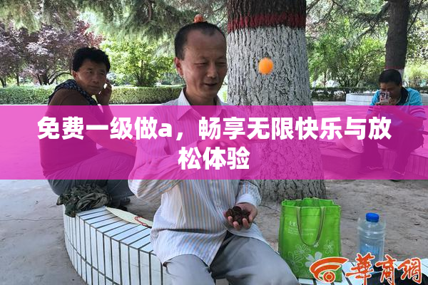 免费一级做a，畅享无限快乐与放松体验