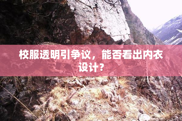 校服透明引争议，能否看出内衣设计？