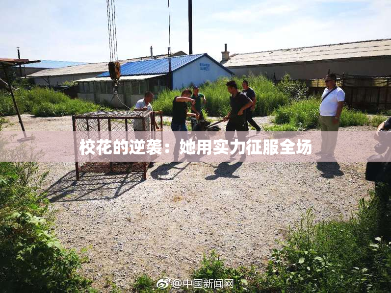 校花的逆袭：她用实力征服全场