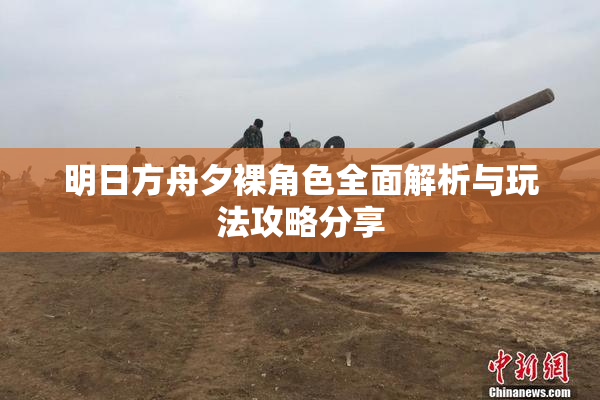 明日方舟夕裸角色全面解析与玩法攻略分享