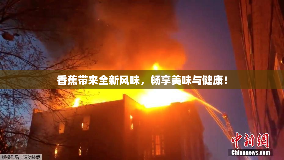 香蕉带来全新风味，畅享美味与健康！