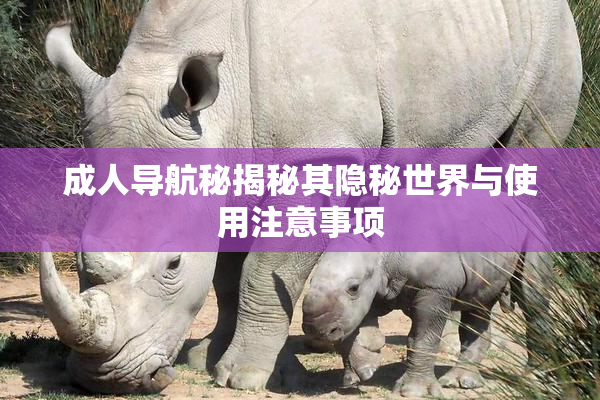 成人导航秘揭秘其隐秘世界与使用注意事项