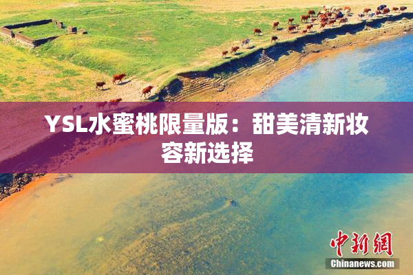 YSL水蜜桃限量版：甜美清新妆容新选择
