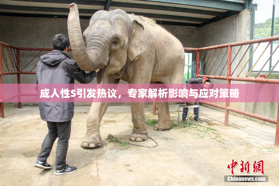 成人性S引发热议，专家解析影响与应对策略