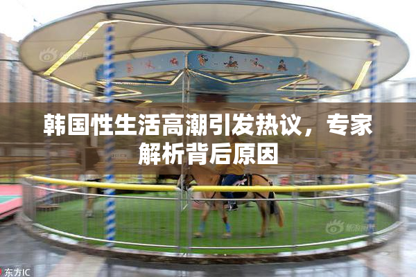 韩国性生活高潮引发热议，专家解析背后原因