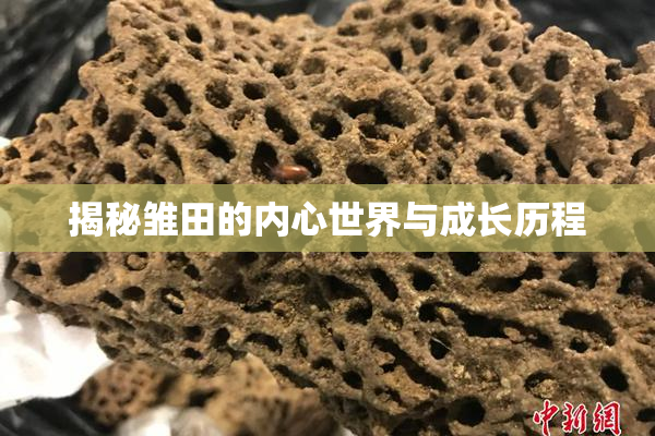 揭秘雏田的内心世界与成长历程