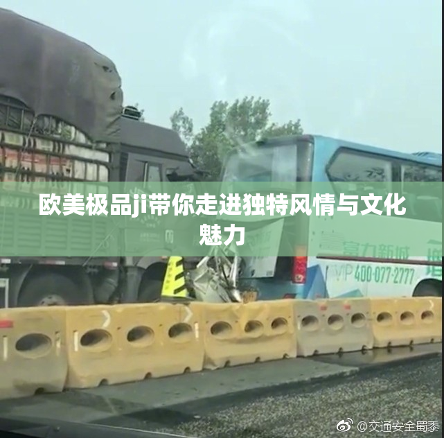 欧美极品ji带你走进独特风情与文化魅力