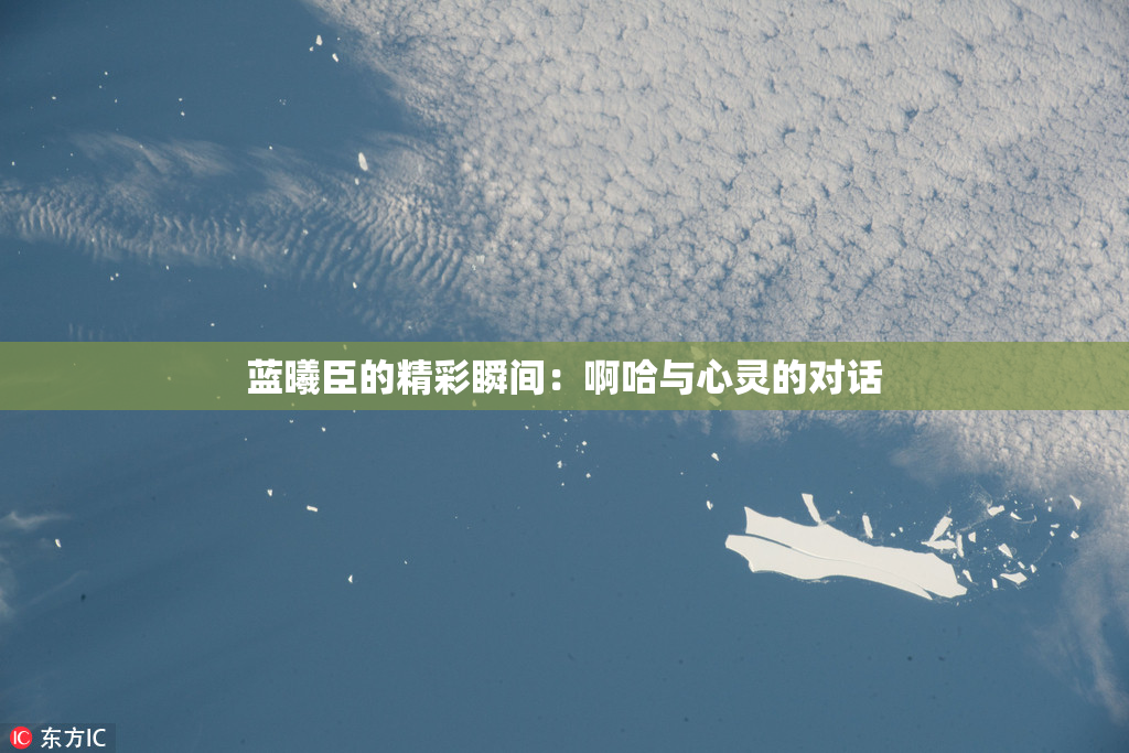 蓝曦臣的精彩瞬间：啊哈与心灵的对话