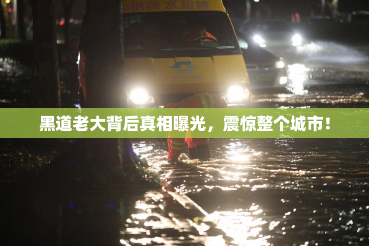 黑道老大背后真相曝光，震惊整个城市！