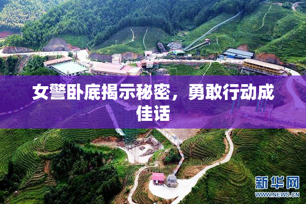 女警卧底揭示秘密，勇敢行动成佳话
