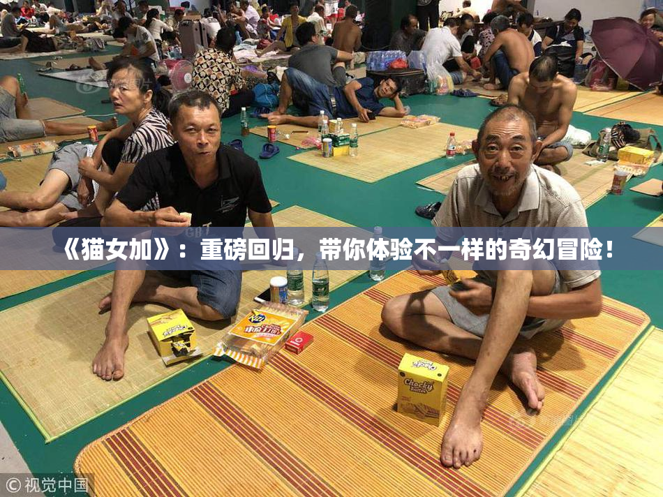 《猫女加》：重磅回归，带你体验不一样的奇幻冒险！