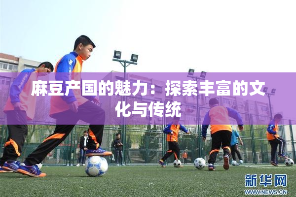 麻豆产国的魅力：探索丰富的文化与传统