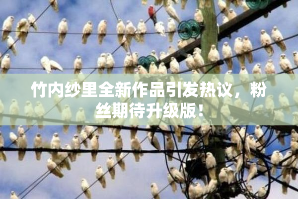 竹内纱里全新作品引发热议，粉丝期待升级版！