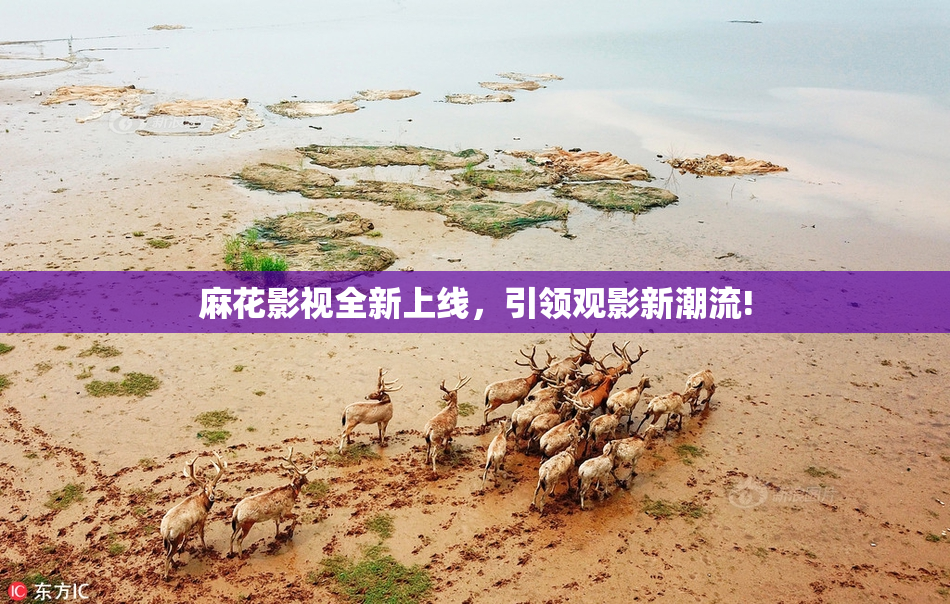 麻花影视全新上线，引领观影新潮流!