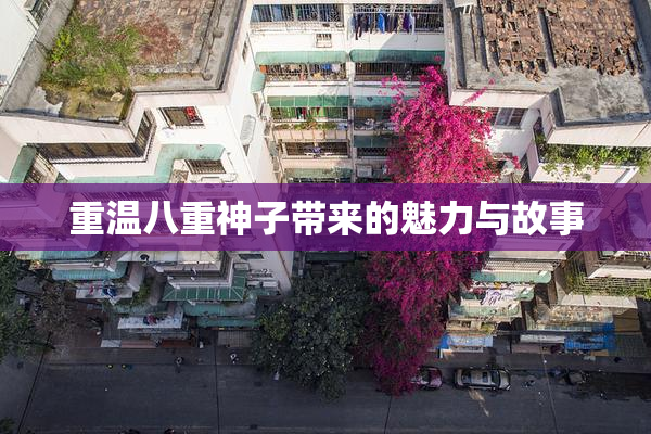 重温八重神子带来的魅力与故事