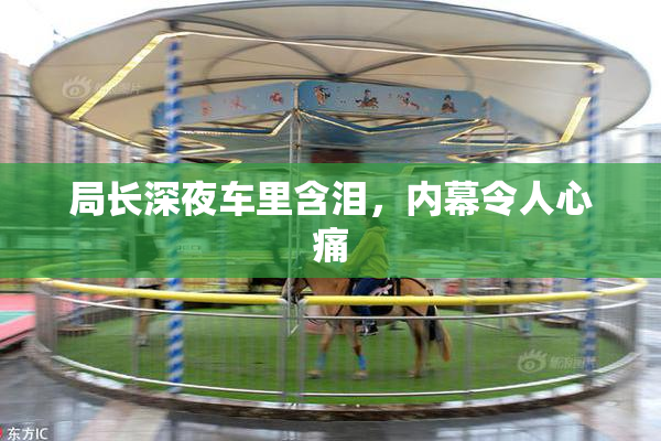 局长深夜车里含泪，内幕令人心痛