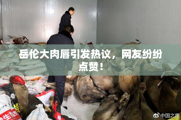 岳伦大肉唇引发热议，网友纷纷点赞！
