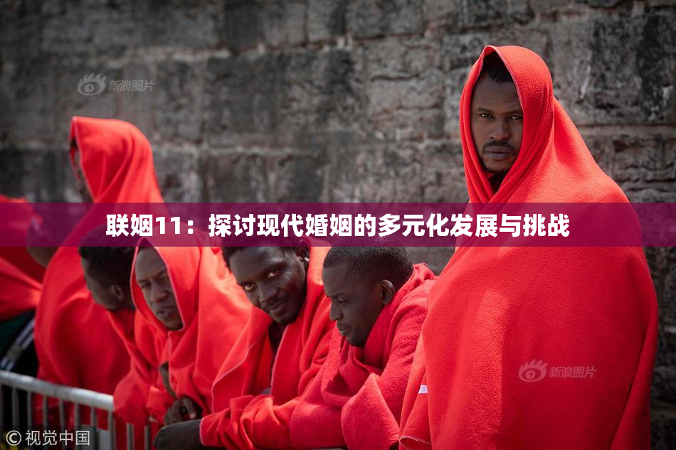 联姻11：探讨现代婚姻的多元化发展与挑战
