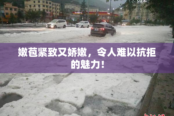 嫩苞紧致又娇嫩，令人难以抗拒的魅力！
