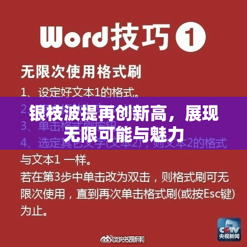银枝波提再创新高，展现无限可能与魅力
