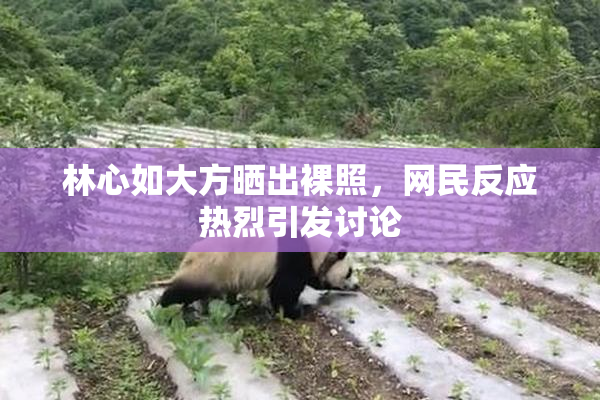 林心如大方晒出裸照，网民反应热烈引发讨论