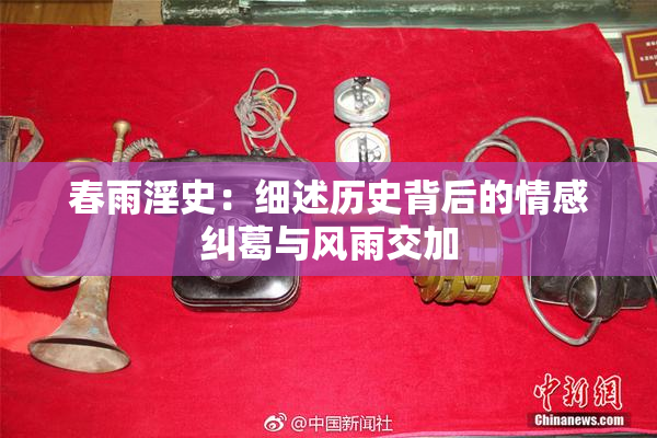 春雨淫史：细述历史背后的情感纠葛与风雨交加
