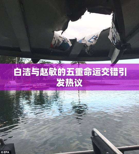 白洁与赵敏的五重命运交错引发热议