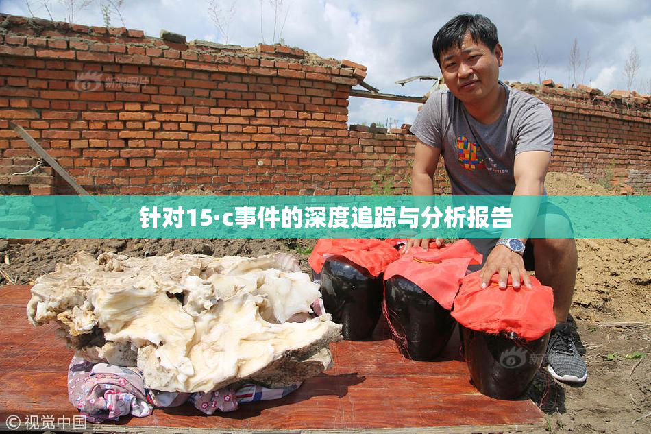 针对15·c事件的深度追踪与分析报告