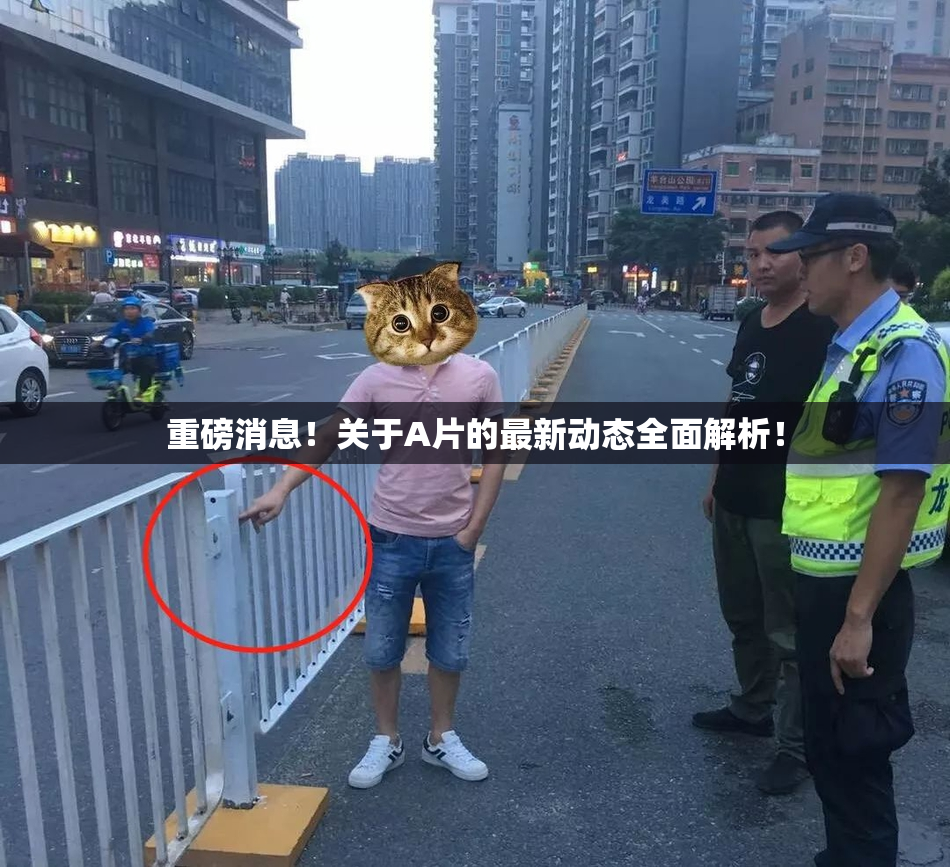 重磅消息！关于A片的最新动态全面解析！