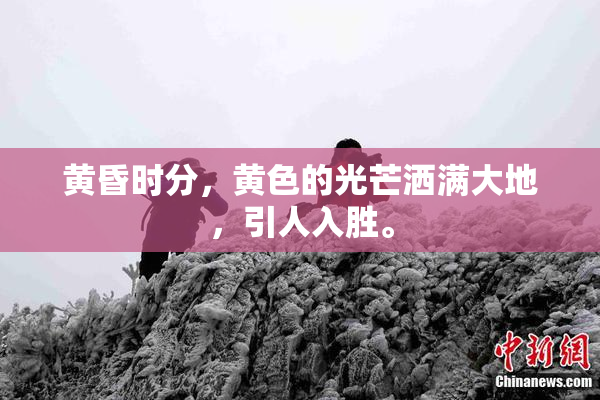 黄昏时分，黄色的光芒洒满大地，引人入胜。