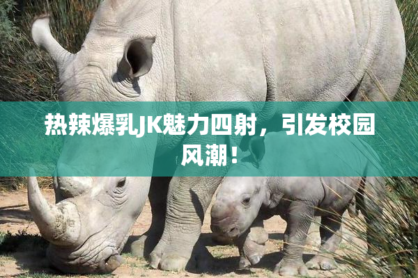 热辣爆乳JK魅力四射，引发校园风潮！