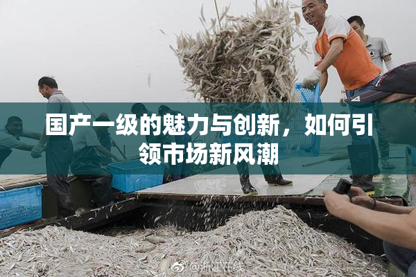 国产一级的魅力与创新，如何引领市场新风潮