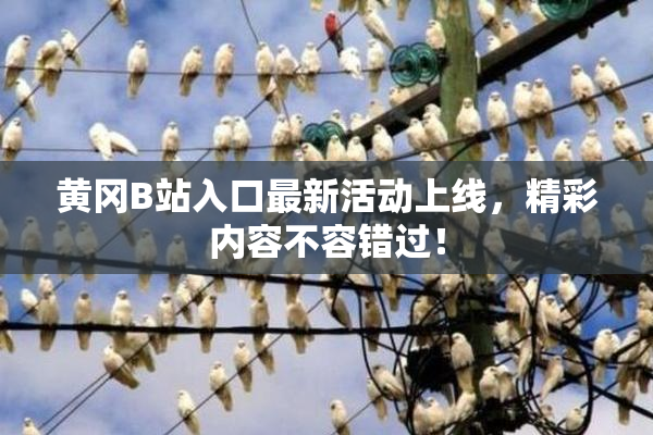 黄冈B站入口最新活动上线，精彩内容不容错过！