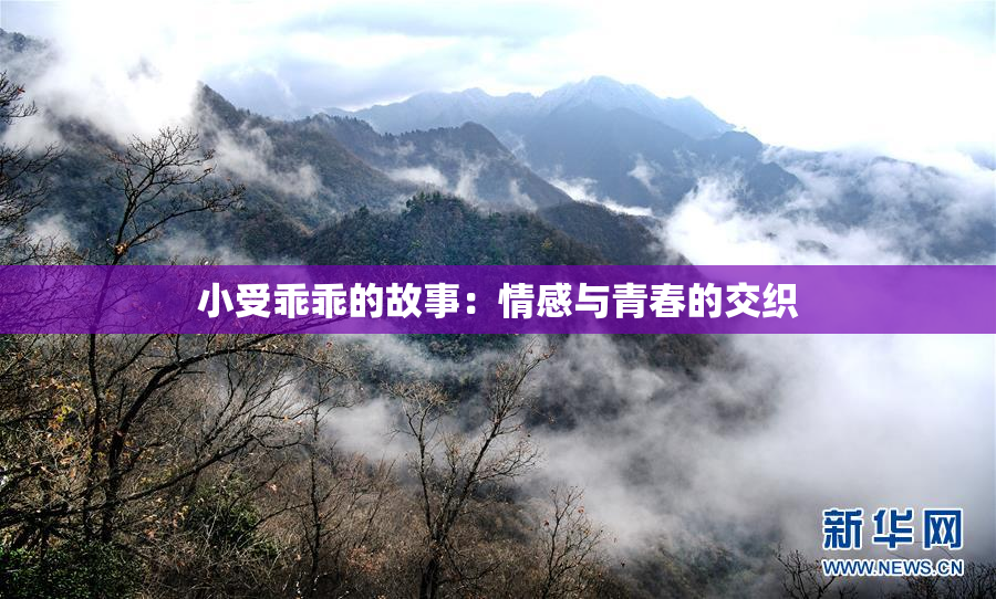 小受乖乖的故事：情感与青春的交织