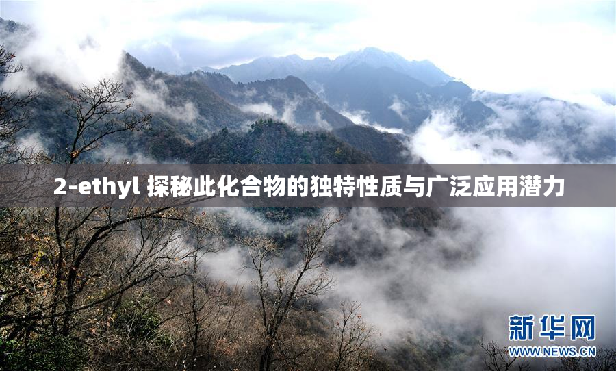 2-ethyl 探秘此化合物的独特性质与广泛应用潜力