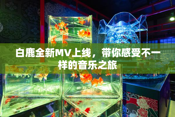白鹿全新MV上线，带你感受不一样的音乐之旅