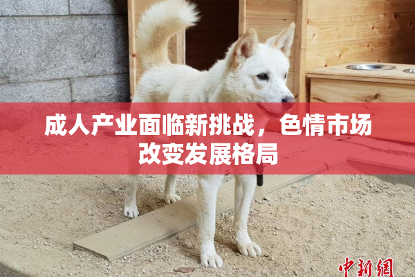 成人产业面临新挑战，色情市场改变发展格局